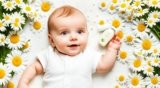 The Fundamentals of Calm: How Chamomile Excels in Baby Care Products.